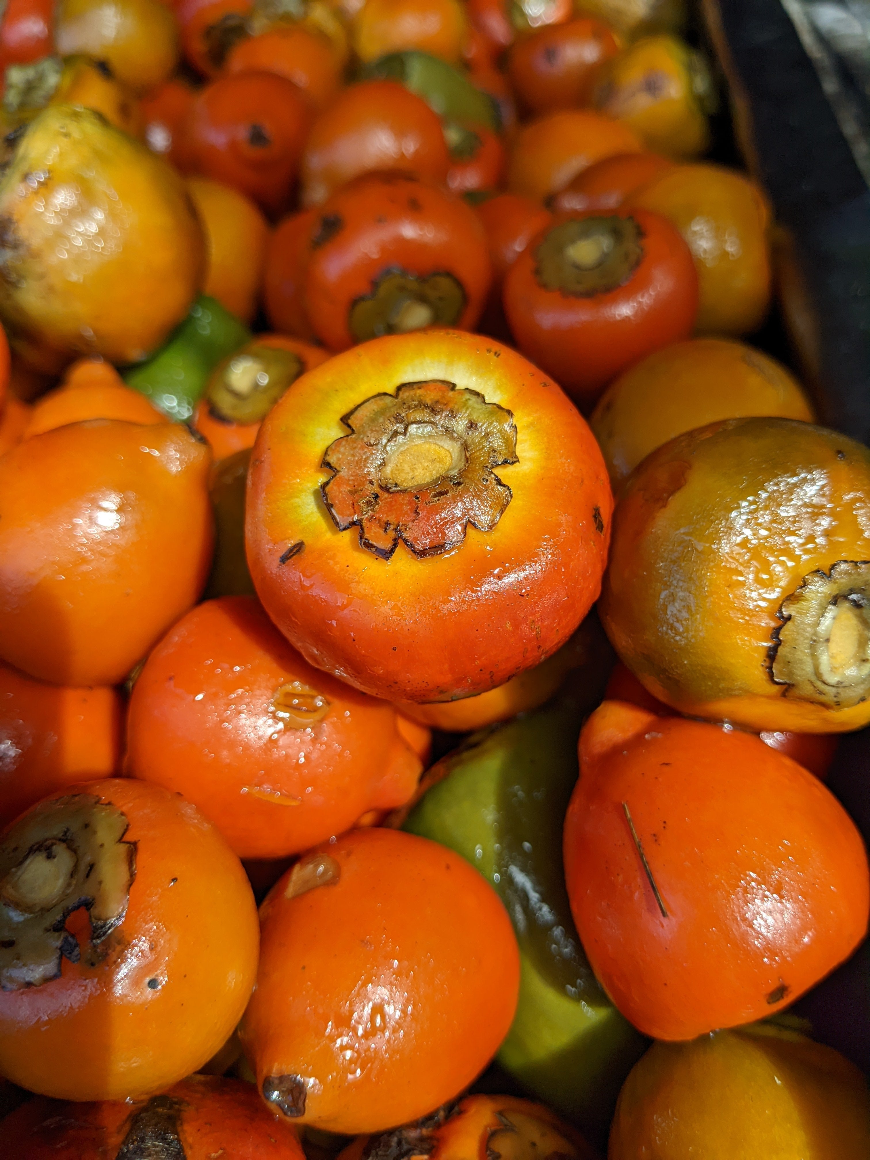 Pejibaye Unveiled: The Superfood Spotlight - PEJI BAR